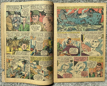 Load image into Gallery viewer, X-MEN #17 (MARVEL,1966) X-Men take on Magneto