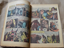 Load image into Gallery viewer, HAUNT OF FEAR #17 (EC, 1953) Classic cover by Graham Ingels